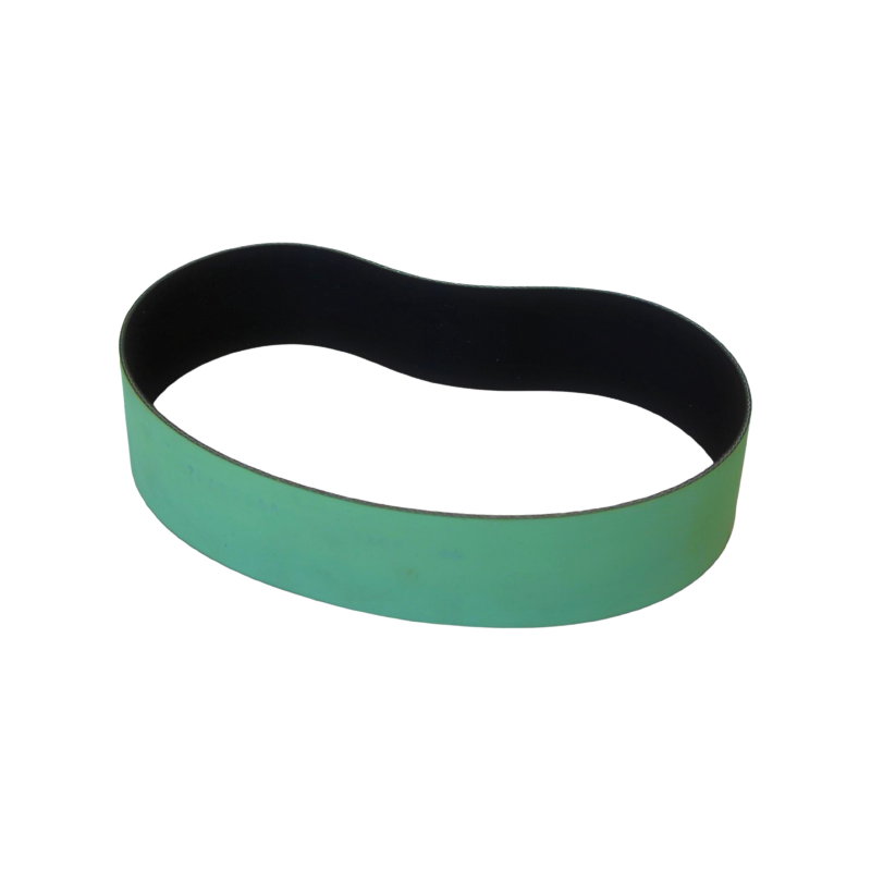 Cinghia di trasmissione